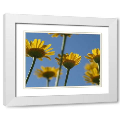 From Below White Modern Wood Framed Art Print with Double Matting by Bonin, Suzanne