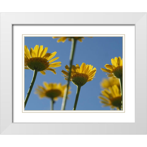 From Below White Modern Wood Framed Art Print with Double Matting by Bonin, Suzanne