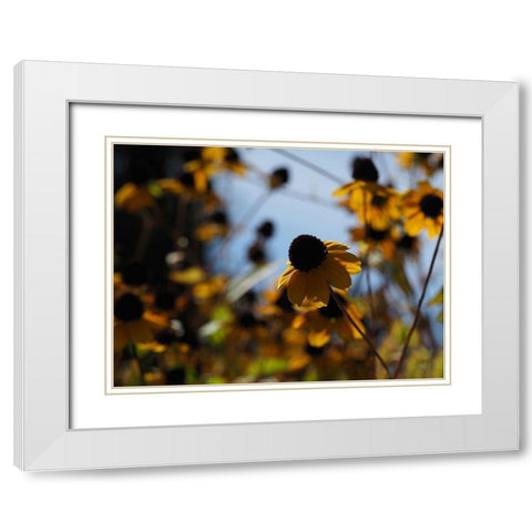 In Nature White Modern Wood Framed Art Print with Double Matting by Bonin, Suzanne