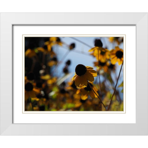 In Nature White Modern Wood Framed Art Print with Double Matting by Bonin, Suzanne