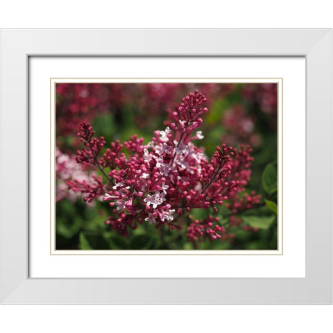 Joy White Modern Wood Framed Art Print with Double Matting by Bonin, Suzanne