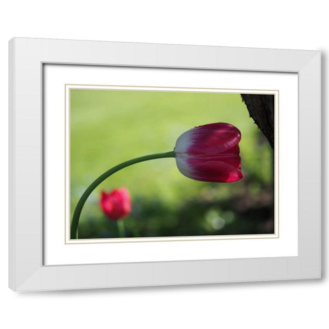Leaning White Modern Wood Framed Art Print with Double Matting by Bonin, Suzanne