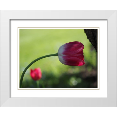 Leaning White Modern Wood Framed Art Print with Double Matting by Bonin, Suzanne