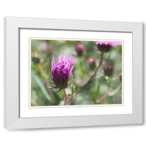 Nonchalant Beauty White Modern Wood Framed Art Print with Double Matting by Bonin, Suzanne