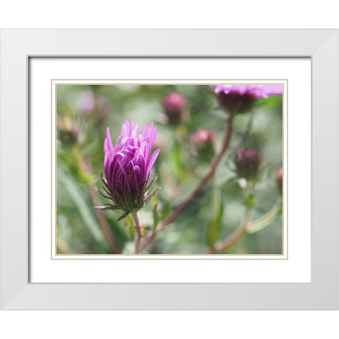 Nonchalant Beauty White Modern Wood Framed Art Print with Double Matting by Bonin, Suzanne