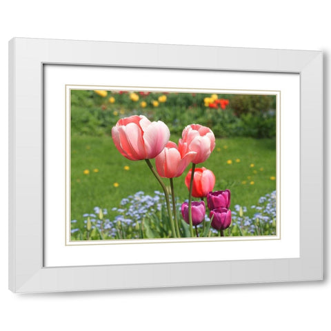 Nuances White Modern Wood Framed Art Print with Double Matting by Bonin, Suzanne