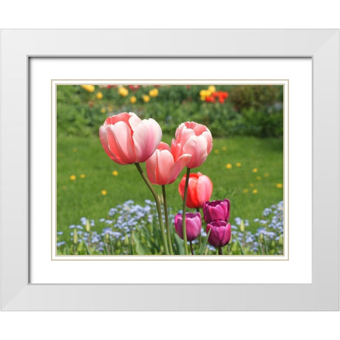 Nuances White Modern Wood Framed Art Print with Double Matting by Bonin, Suzanne