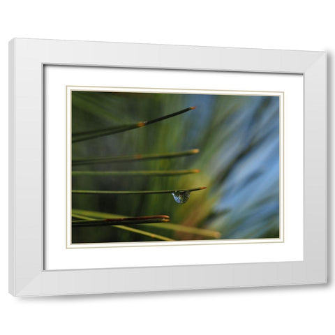One Drop White Modern Wood Framed Art Print with Double Matting by Bonin, Suzanne