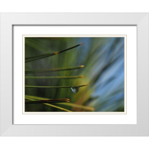 One Drop White Modern Wood Framed Art Print with Double Matting by Bonin, Suzanne