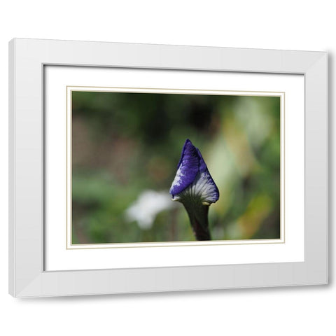 Opening Up White Modern Wood Framed Art Print with Double Matting by Bonin, Suzanne