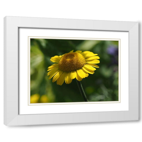 Prettier In Yellow White Modern Wood Framed Art Print with Double Matting by Bonin, Suzanne