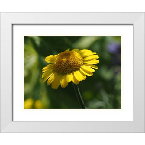 Prettier In Yellow White Modern Wood Framed Art Print with Double Matting by Bonin, Suzanne