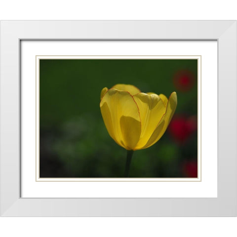 Pretty Lady White Modern Wood Framed Art Print with Double Matting by Bonin, Suzanne