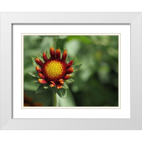 Rebel White Modern Wood Framed Art Print with Double Matting by Bonin, Suzanne