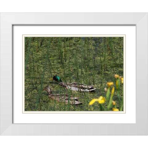 Sauve Qui Peut White Modern Wood Framed Art Print with Double Matting by Bonin, Suzanne