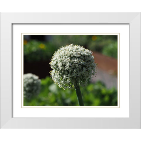 Sphere White Modern Wood Framed Art Print with Double Matting by Bonin, Suzanne