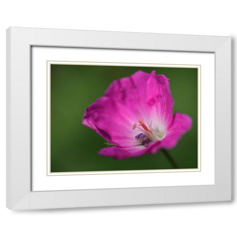 The Heart Of It White Modern Wood Framed Art Print with Double Matting by Bonin, Suzanne