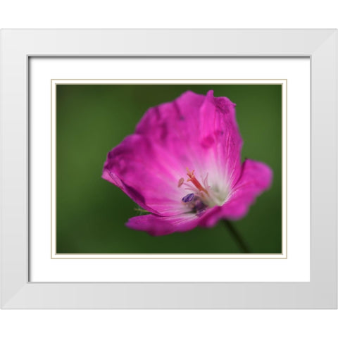 The Heart Of It White Modern Wood Framed Art Print with Double Matting by Bonin, Suzanne