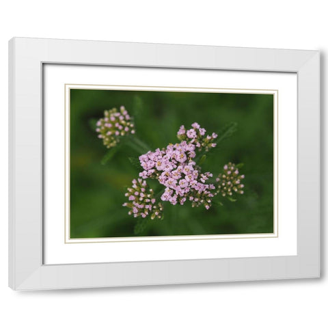 This Is Life White Modern Wood Framed Art Print with Double Matting by Bonin, Suzanne