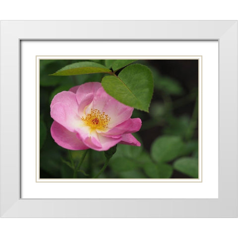 Under The Shade White Modern Wood Framed Art Print with Double Matting by Bonin, Suzanne