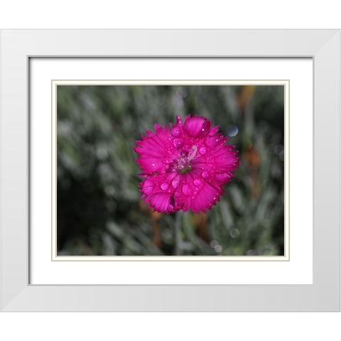 Wet Wild Earth White Modern Wood Framed Art Print with Double Matting by Bonin, Suzanne