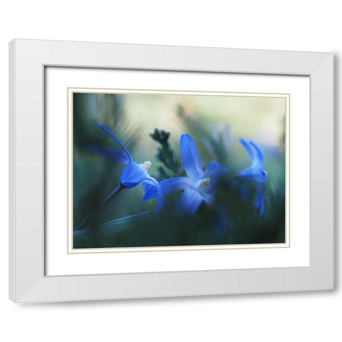 Broken White Modern Wood Framed Art Print with Double Matting by Bonin, Suzanne