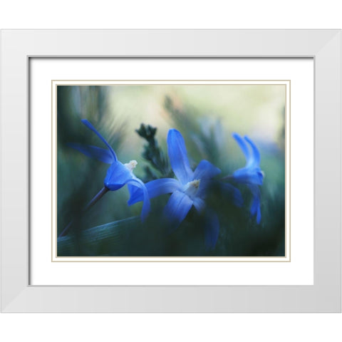 Broken White Modern Wood Framed Art Print with Double Matting by Bonin, Suzanne