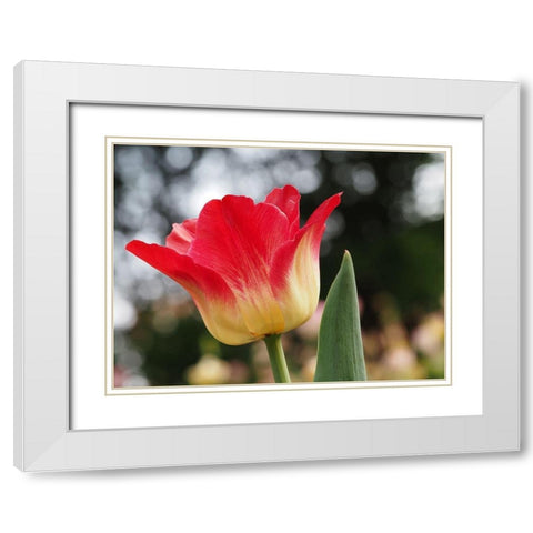 Happy One White Modern Wood Framed Art Print with Double Matting by Bonin, Suzanne
