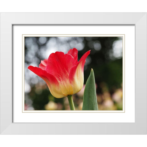 Happy One White Modern Wood Framed Art Print with Double Matting by Bonin, Suzanne