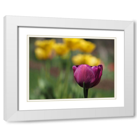 Hello Ladies White Modern Wood Framed Art Print with Double Matting by Bonin, Suzanne