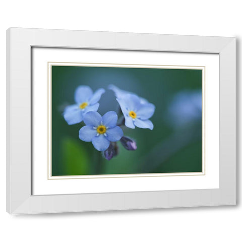 Ladies In Blue White Modern Wood Framed Art Print with Double Matting by Bonin, Suzanne