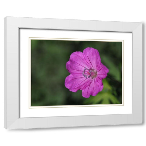 Promising White Modern Wood Framed Art Print with Double Matting by Bonin, Suzanne