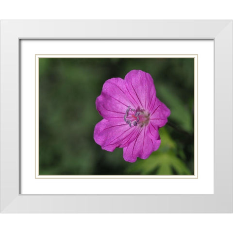 Promising White Modern Wood Framed Art Print with Double Matting by Bonin, Suzanne