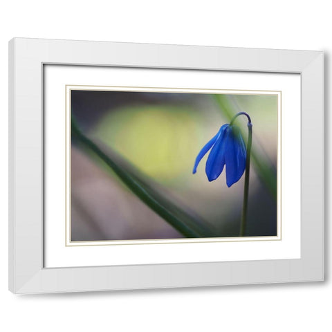 Tiny Blue Umbrella White Modern Wood Framed Art Print with Double Matting by Bonin, Suzanne