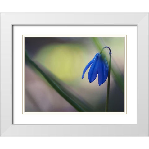 Tiny Blue Umbrella White Modern Wood Framed Art Print with Double Matting by Bonin, Suzanne