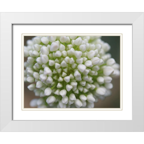 Another World White Modern Wood Framed Art Print with Double Matting by Bonin, Suzanne
