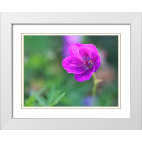 Little Bead White Modern Wood Framed Art Print with Double Matting by Bonin, Suzanne