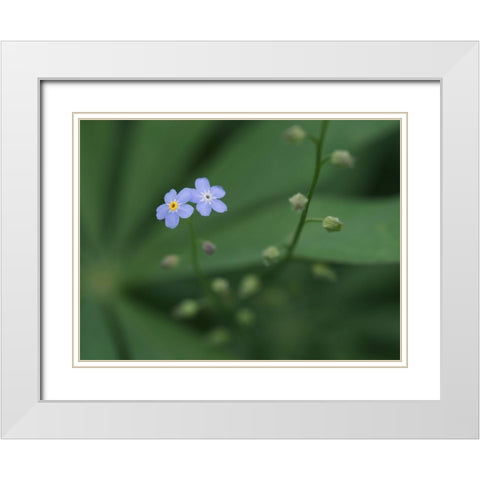 Small Universe White Modern Wood Framed Art Print with Double Matting by Bonin, Suzanne