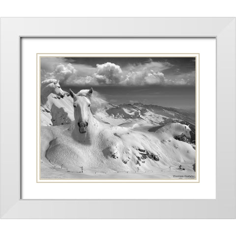 Icy Studs White Modern Wood Framed Art Print with Double Matting by Barbey, Thomas