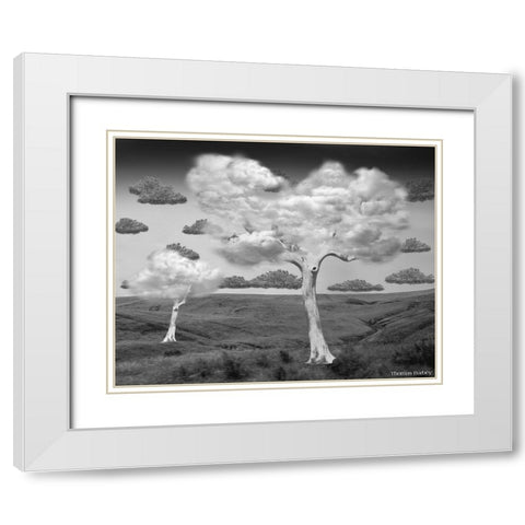 Natural Disorder White Modern Wood Framed Art Print with Double Matting by Barbey, Thomas