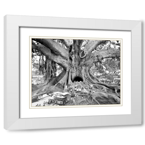 Tourist Trap White Modern Wood Framed Art Print with Double Matting by Barbey, Thomas
