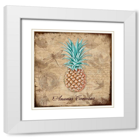 Ananas Comosus White Modern Wood Framed Art Print with Double Matting by Lavoie, Tina