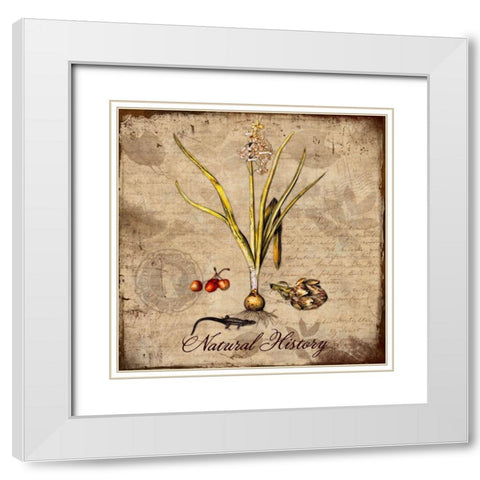 Natural History White Modern Wood Framed Art Print with Double Matting by Lavoie, Tina