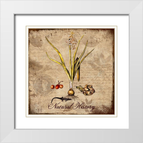 Natural History White Modern Wood Framed Art Print with Double Matting by Lavoie, Tina