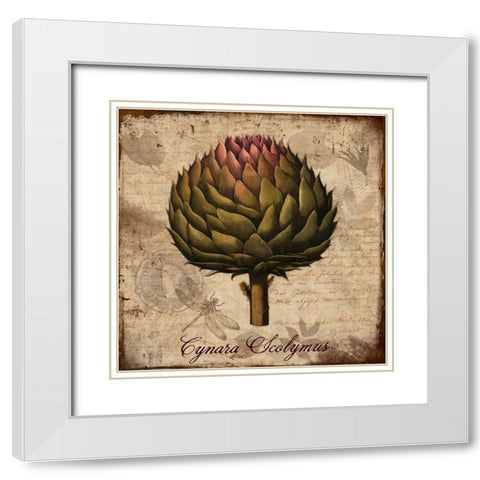 Cynara Scolymus White Modern Wood Framed Art Print with Double Matting by Lavoie, Tina