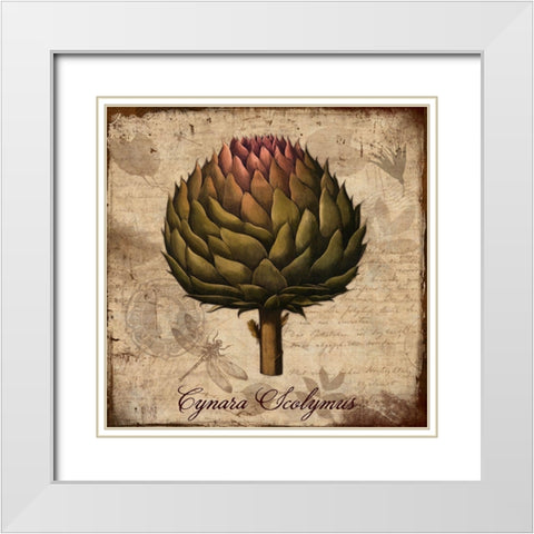 Cynara Scolymus White Modern Wood Framed Art Print with Double Matting by Lavoie, Tina