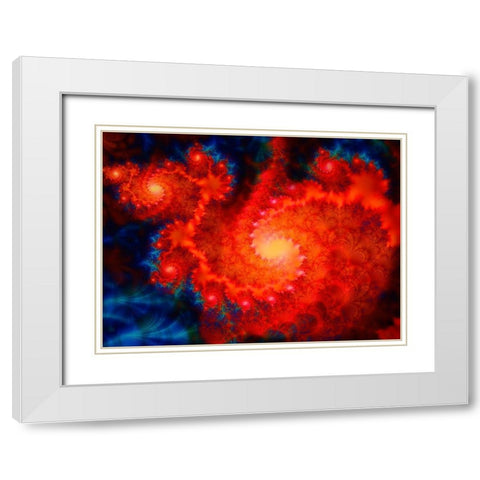 Cosmos White Modern Wood Framed Art Print with Double Matting by Lavoie, Tina