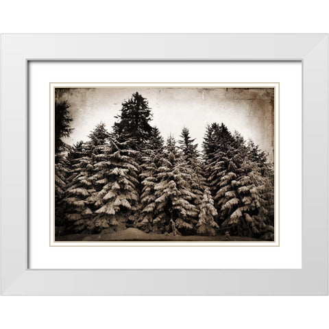 Old Growth White Modern Wood Framed Art Print with Double Matting by Lavoie, Tina