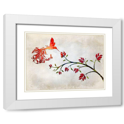 Hummingbird of Paradise Sunset White Modern Wood Framed Art Print with Double Matting by Lavoie, Tina