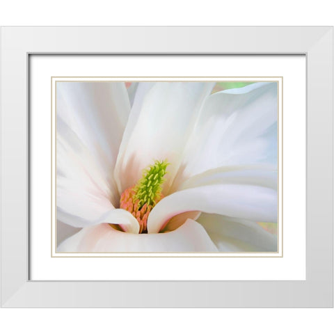 Magnoliaceae White Modern Wood Framed Art Print with Double Matting by Lavoie, Tina
